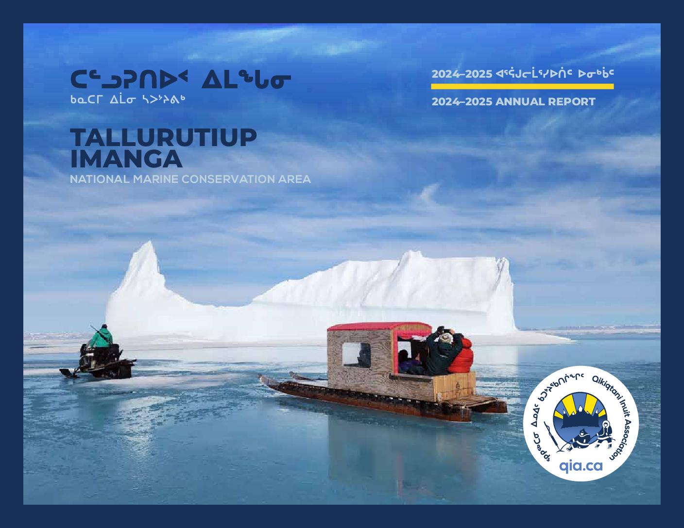 QIA TI Report 2024-2025